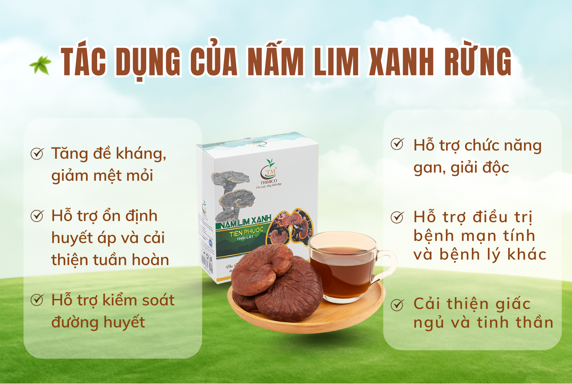 tác dụng của nấm lim xanh rừng